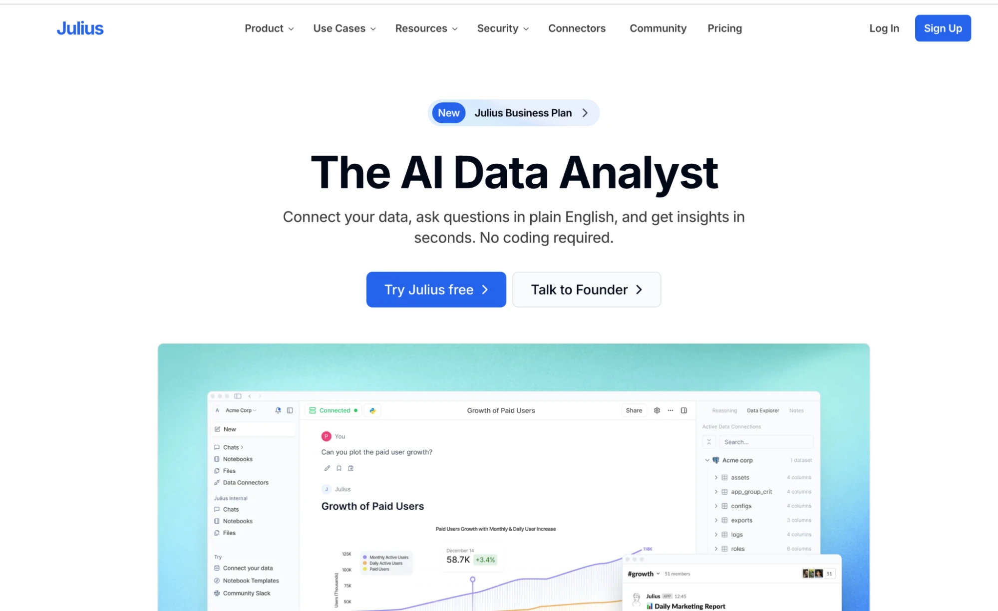 Julius AI standalone data analysis interface