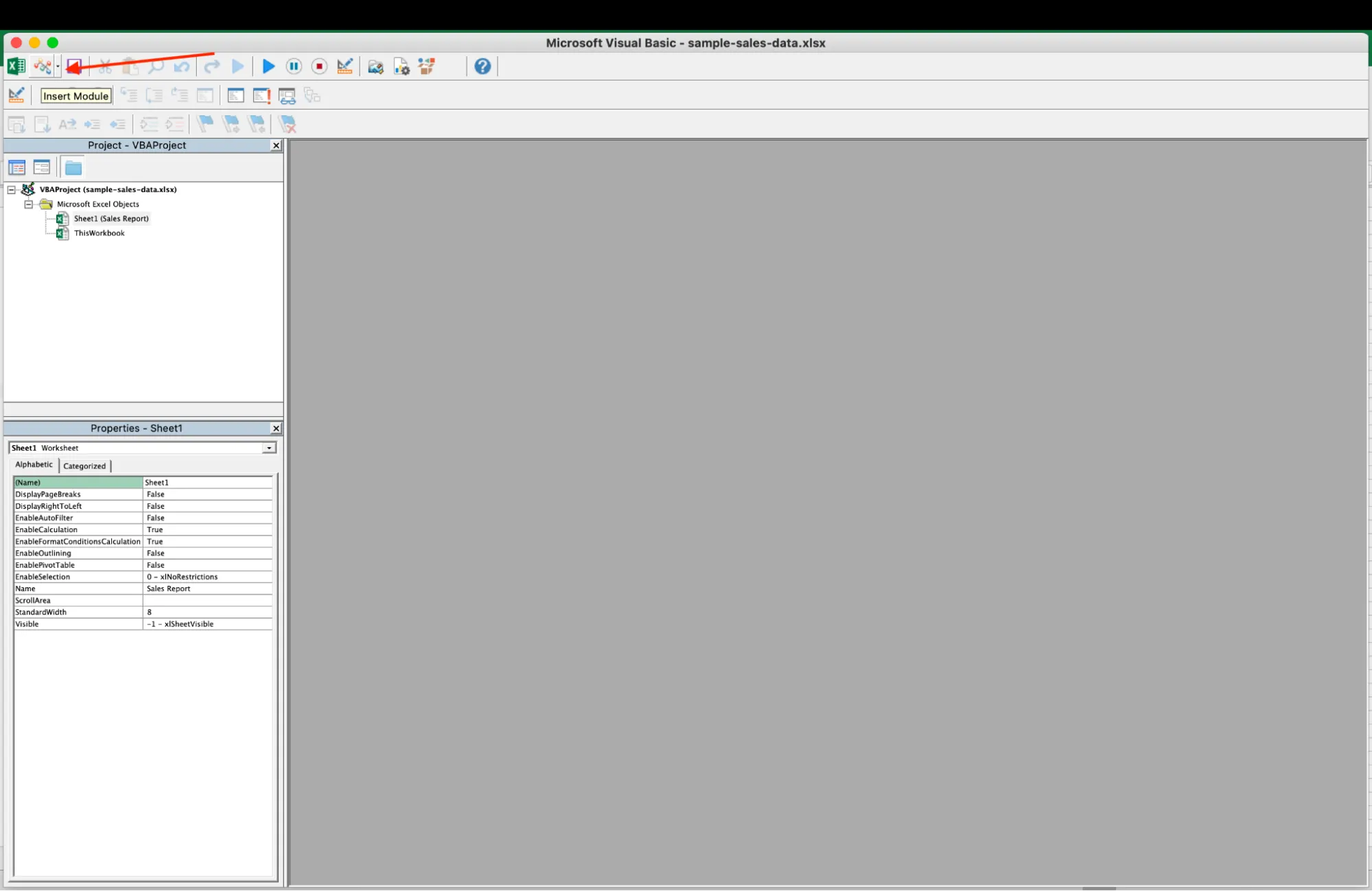 Inserting a module in VBA Editor