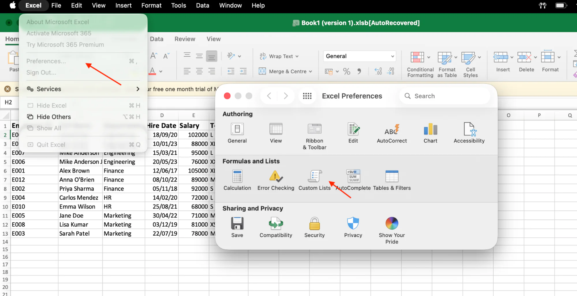 Opening Edit Custom Lists in Excel Options