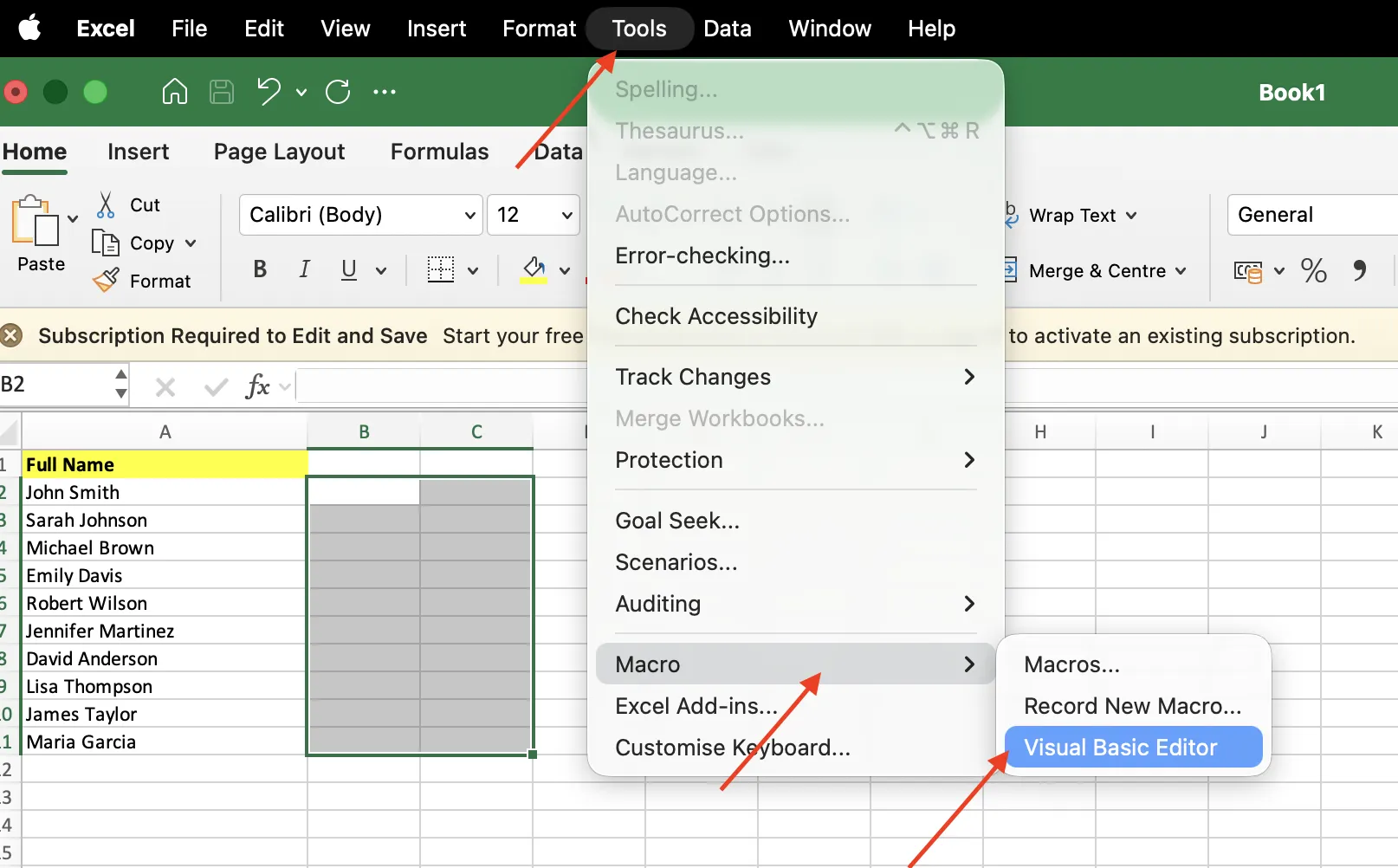Open VBA editor in Excel